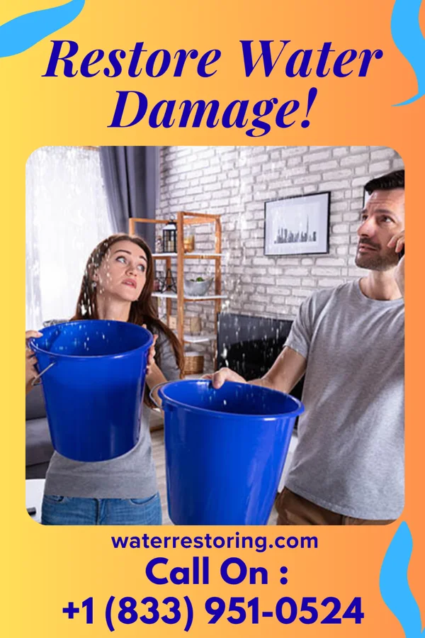 water restoration National Water Cleanup Masters Beverly