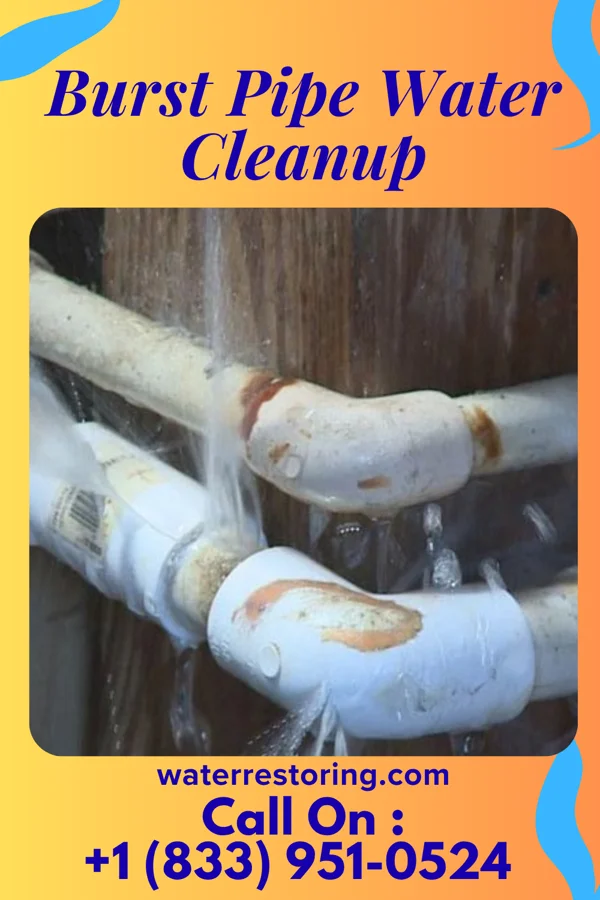 Burst Pipe Water Cleanup in Beverly, WV