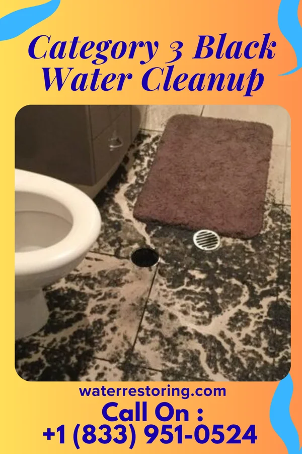 Category 3 Black Water Cleanup in Beverly, WV