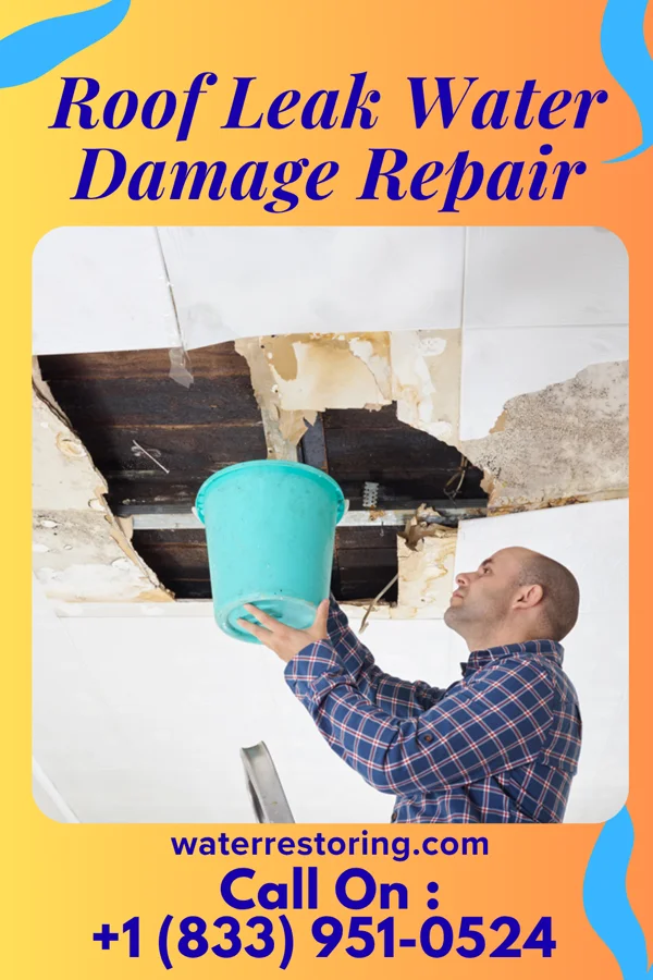 Roof Leak Water Damage Repair in Beverly, WV