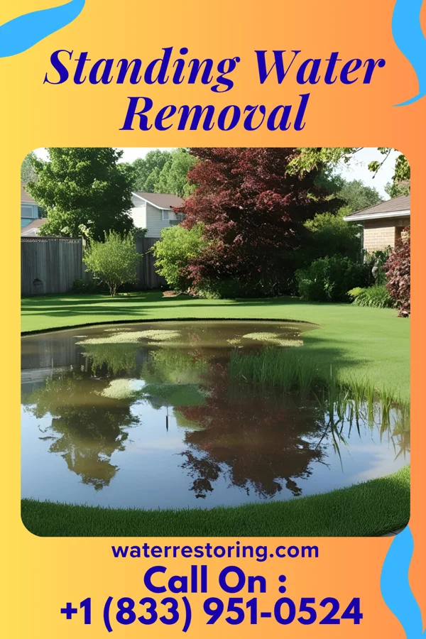 Standing Water Removal in Beverly, WV